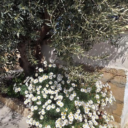 マルツァメミ Casa Le Gebbieヴィラ エクステリア 写真