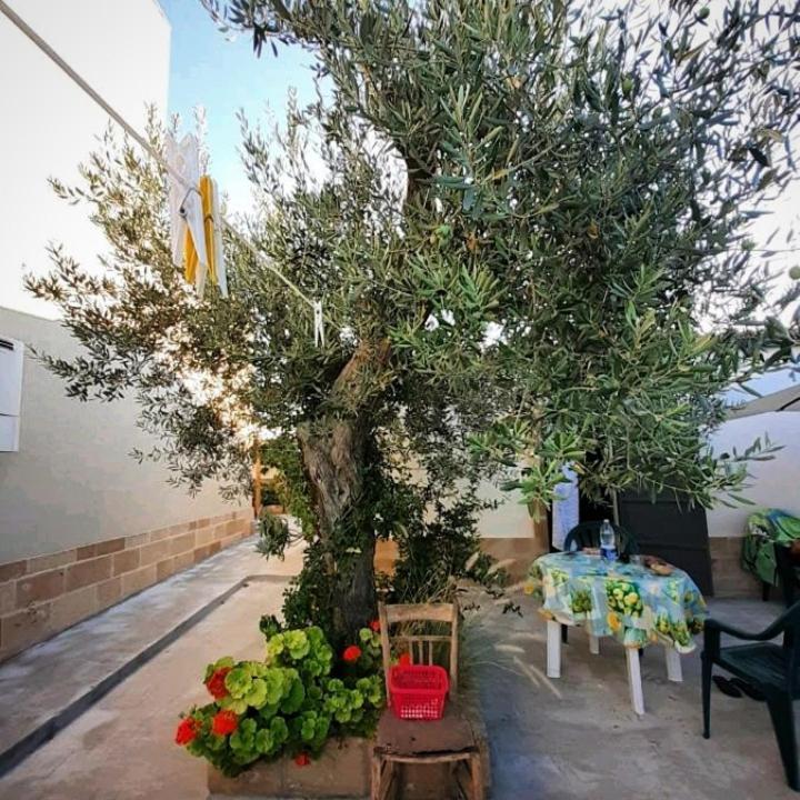 マルツァメミ Casa Le Gebbieヴィラ エクステリア 写真
