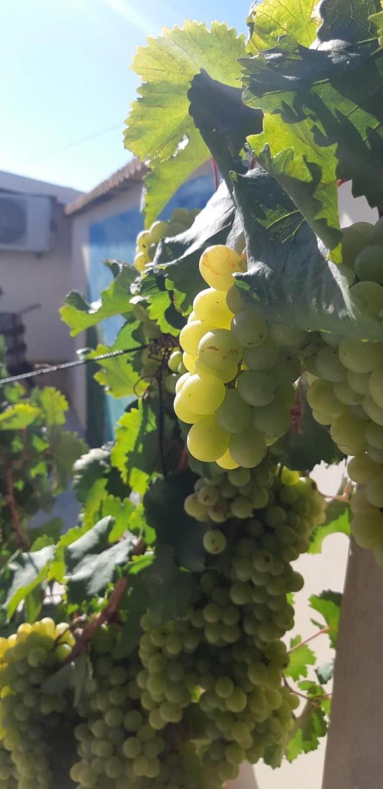 マルツァメミ Casa Le Gebbieヴィラ エクステリア 写真