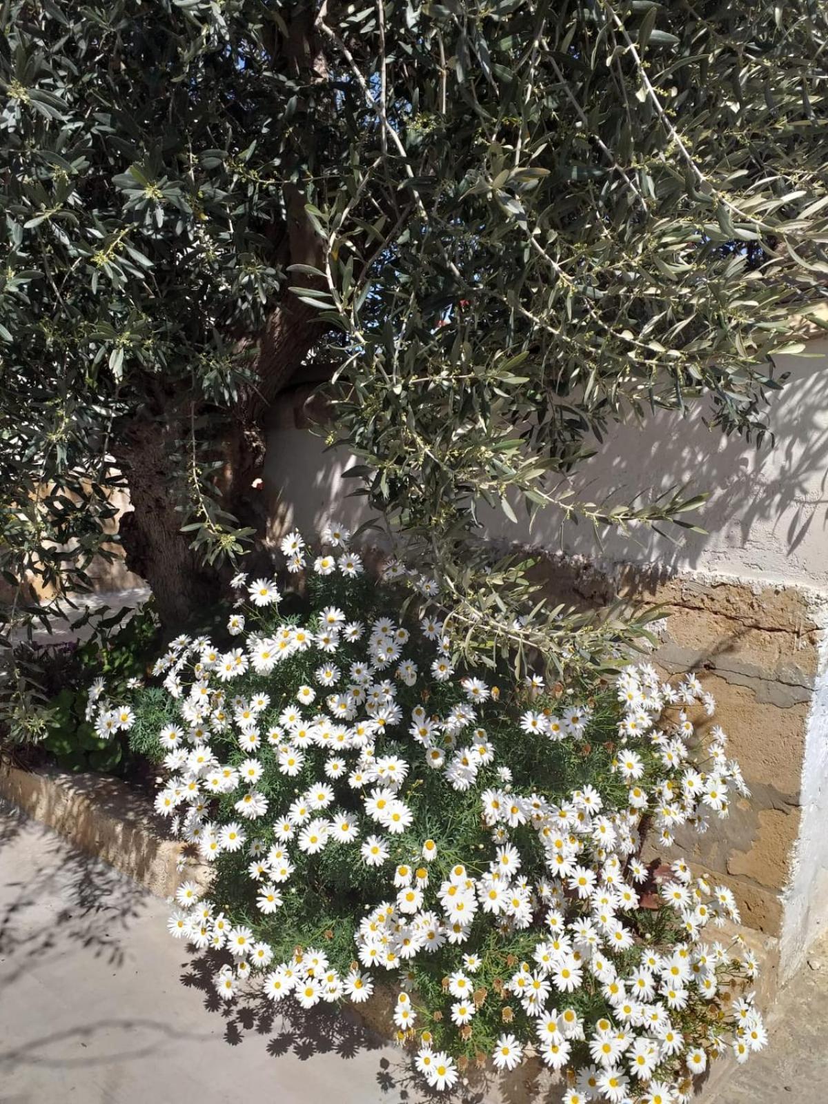 マルツァメミ Casa Le Gebbieヴィラ エクステリア 写真